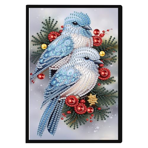 JISHSHAY Weihnachten Diamond Painting Notizbuch Vögel Diamant Malerei Block Notiz Diamant Stickerei Notizbuch weißes Blatt Basteln Erwachsene Notebook Stickerei Notizbuch Kreuzstich Tagebuch A5 von JISHSHAY
