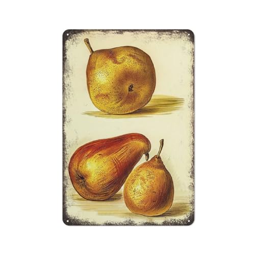Birnen-Obst-Zeichnungsplakat, Aluminium, kreativ, einzigartig, lustig, wasserdicht, Metall, Blechschild, Plakat, Vintage-Kultur, Wanddekoration, Aluminium, Garten, Restaurant, Wohnzimmer, Schlafzimm von JIUFOTK