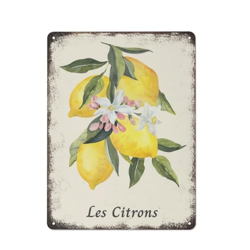 Zitronen-Poster, Obst-Wandkunst, Zitronenmarkt, schrullige Heimdekoration, süße Küche, einfaches Metall-Blechschild, Plakette, Poster, Vintage-Kultur, Wanddekoration, Aluminium, Garten, Restaurant, von JIUFOTK