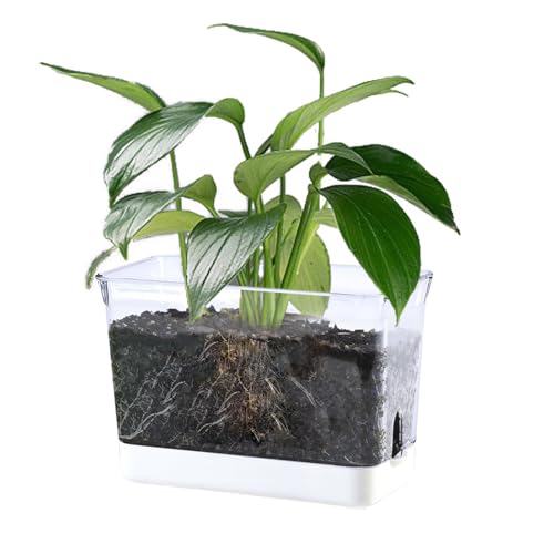 JIUJITSAW Selbstbewässernder Pflanzentopf Set - Rechteckige Transparente Blumentöpfe für Kräuter, Gemüse und Blumen - Bewässerungssystem mit Abflusslöchern für Küchenfensterbank und Balkon (2er) von JIUJITSAW