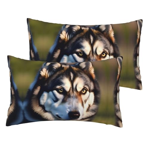 Kissenbezug mit schönem Husky-Druck, Leinenimitat, Standardgröße, 30,5 x 50,8 cm, atmungsaktiv, 2 Stück von JIUTY