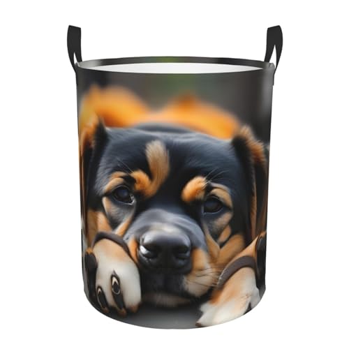 Lover Dog Paw Printing Circular Storage Hamper - Easy Carry Handles, Perfect For Christmas, Fits In Any Room Lover Dog Paw Printing Circular Storage Hamper - Easy Carry Handles, Perfect For Christmas, Fits In Any Room von JIUTY
