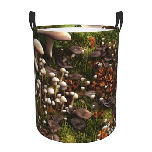 Runder Aufbewahrungskorb mit Wildpilz-Druck, leicht zu tragende Griffe, perfekt für Weihnachten, passt in jeden Raum Runder Aufbewahrungskorb mit Wildpilz-Druck, leicht zu tragende Griffe, perfekt für Weihnachten, passt in jeden Raum von JIUTY