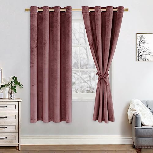 JIUZHEN Verdunklungsvorhang aus Samt,2er Set weiche blickdichte Gardinen mit Ösen für Schlafzimmer,140x175cm (Breite x Höhe),Rose von JIUZHEN