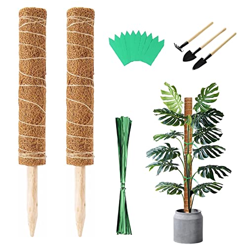 Moosstab Rankhilfe Pflanzstab 4 Stück Kokos Pflanzstab 40CM mit Mini-Gartengeräte-Set für Pflanzen Pflanzstab, Ausziehbarer Garten Kletterpflanzen Monstera Aufwärtswachstum (2) von JIYISHIHOU