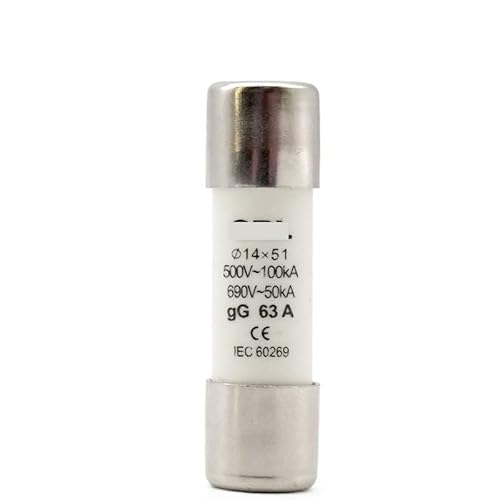 Sicherung 10 Stück RO16 AC 500 V Flinker Keramik-Sicherungseinsatz RT18–63 14 x 51 gG Ausschnitt 2 A 4 A 6 A 8 A 10 A 16 A 20 A 25 A 32 A 63 A(2A) von JJHQOKYNA