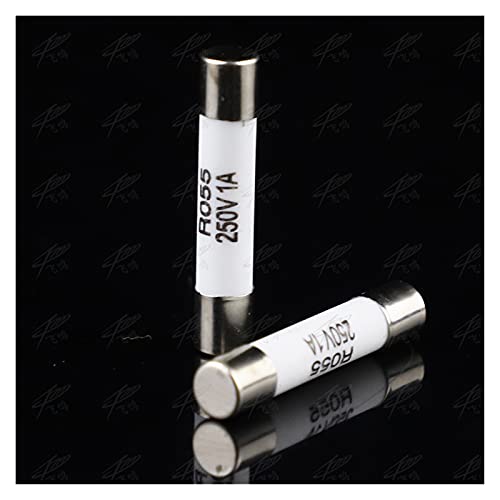 Sicherung 20 Stück Keramiksicherung 5 mm x 25 mm träge T 0,5 A 1 A 2 A 3 A 4 A 5 A 6 A 8 A 10 A 13 A 15 A 16 A 20 A 250 V(4A) von JJHQOKYNA