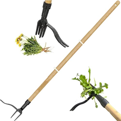 Stand-Up-Unkrautabzieher, Manueller Jäter Ersatzkopf, Garten Jäten Werkzeug,4 Krallen Unkrautentferner und Unkrautstab,Ohne Bücken Knien Löwenzahnentferner Garten Rasen, Stehenden Unkrautzupfer (1Set) von JJIW