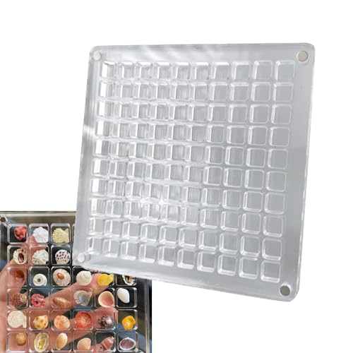Seashell Display Box, Acrylic Magnetic Seashell Display Box,Transparent Acrylic Display Case Seashell Storage Box, Acrylic Boxes for Display Craft Organizers Container for Seashell, Trinket, Bead, Nai Seashell Display Box, Acrylic Magnetic Seashell Display Box,Transparent Acrylic Display Case Seashell Storage Box, Acrylic Boxes for Display Craft Organizers Container for Seashell, Trinket, Bead, Nai von JJKTO