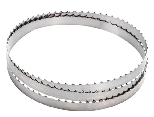 1/2/3 Pcs 1400mm Bandsägeblätter 1400x 6,35x0,35mm 9,5x0,35 TPI 10 14 Sägeblatt for Holzbearbeitung(1PC/6T,1400x9.5x0.35mm) von JJQXAIBH