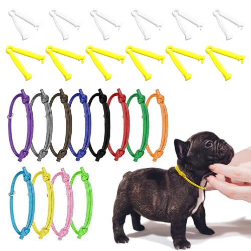 JJWNML 12pcs Welpen ID Halsbänder+12pcs Nabelschnurklemme, weiche Polyester Halsbänder Einstellbare Bands Identifikation Welpen Halsband für Neugeborene Haustier, Multi Coloured (S,12-20CM+ Clips) von JJWNMLL