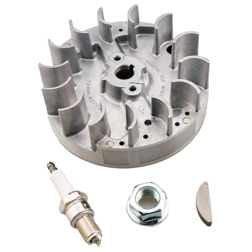 JJing Schwungrad 590544 kompatibel mit Briggs & Stratton 08P502 093J02 09P602 09P702 Serie Motor und MTD Poulan Walk Behind Rasenmäher mit diesem Motor JJing Schwungrad 590544 kompatibel mit Briggs & Stratton 08P502 093J02 09P602 09P702 Serie Motor und MTD Poulan Walk Behind Rasenmäher mit diesem Motor von JJing