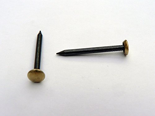 50 Stück Stahl-Nägel 2,0 x 30 mm gebläut gehärtet mit Messingkopf Bildernägel von JK Internethandel
