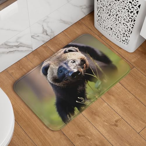 Fußmatte Welcome Fußmatte 40,6 x 61 cm, rutschfest, saugfähig, Badteppich, weich, waschbar, Bodenmatte, Biene, fliegende 5 Teppich, für stilvolle Küche, Schlafzimmer, Badezimmer, Dekor Fußmatte Welcome Fußmatte 40,6 x 61 cm, rutschfest, saugfähig, Badteppich, weich, waschbar, Bodenmatte, Biene, fliegende 5 Teppich, für stilvolle Küche, Schlafzimmer, Badezimmer, Dekor von JKASDTRP