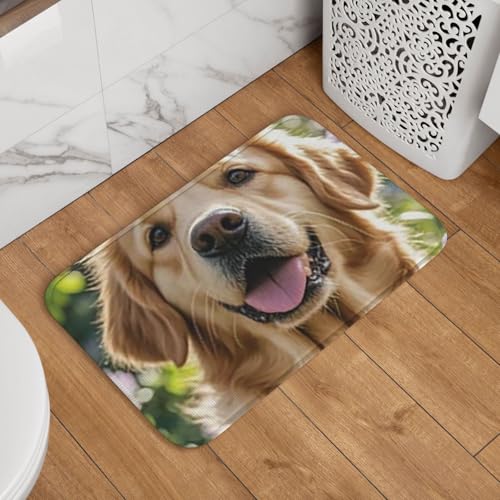 Fußmatte Welcome Fußmatte 40,6 x 61 cm rutschfest saugfähig Badteppich weich waschbar Bodenmatte Golden Retriever Teppich für stilvolle Küche Schlafzimmer Badezimmer Dekor Fußmatte Welcome Fußmatte 40,6 x 61 cm rutschfest saugfähig Badteppich weich waschbar Bodenmatte Golden Retriever Teppich für stilvolle Küche Schlafzimmer Badezimmer Dekor von JKASDTRP