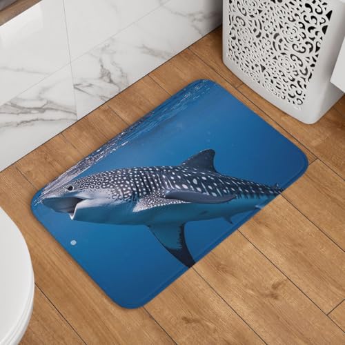 Fußmatte Willkommens-Fußmatte, rutschfest, saugfähig, weich, waschbar, Bodenmatte (Typus Walhai-Teppich für stilvolle Küche, Schlafzimmer, Badezimmer, Dekor, 40,6 x 61 cm) von JKASDTRP