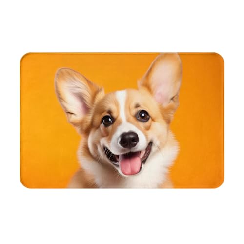 JKDGOJ Rutschfeste Bodenmatte, lächelnde Corgi-Hunde-Drucke für Innen- und Außenbereich, Fußmatten, geeignet für Schlafzimmer und Badezimmer, 40,6 x 61 cm JKDGOJ Rutschfeste Bodenmatte, lächelnde Corgi-Hunde-Drucke für Innen- und Außenbereich, Fußmatten, geeignet für Schlafzimmer und Badezimmer, 40,6 x 61 cm von JKDGOJ