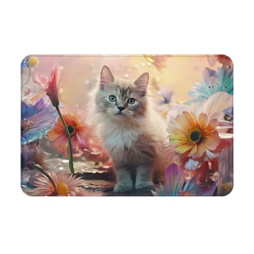 JKDGOJ Rutschfeste Bodenmatte, sitzende Kitty-Drucke für Innen- und Außenbereich, Fußmatten, geeignet für Schlafzimmer und Badezimmer, 40,6 x 61 cm JKDGOJ Rutschfeste Bodenmatte, sitzende Kitty-Drucke für Innen- und Außenbereich, Fußmatten, geeignet für Schlafzimmer und Badezimmer, 40,6 x 61 cm von JKDGOJ