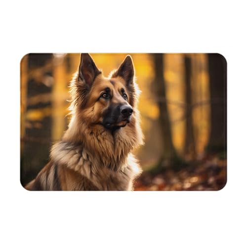 JKDGOJ Rutschfeste Bodenmatte, starker Schäferhund, für Innen- und Außenbereich, geeignet für Schlafzimmer und Badezimmer, 40,6 x 61 cm von JKDGOJ
