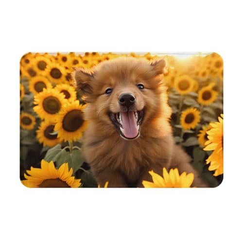 JKDGOJ Rutschfeste Bodenmatte mit Sonnenblumen-Motiv für Innen- und Außenbereich, geeignet für Schlafzimmer und Badezimmer, 40,6 x 61 cm von JKDGOJ