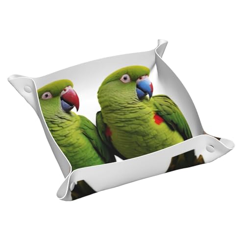 Jkdgoj 1 Paar Regenwald-Papageien-Bild-Leder-Aufbewahrungstablett, mittlere Qualität, PVC, doppelseitiges Ledertablett für bequeme Aufbewahrung und Organisation von JKDGOJ