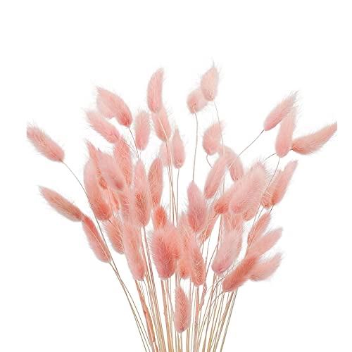 JKDHJK 50 Stäbchen Pampasgras Trockenblumen Verwelken Nie Trockenblumen Deko Boho Deko Super Flauschig Für Deko Schlafzimmer, Badezimmer Deko, Tischdeko, Wand Deko (Rosa) von JKDHJK