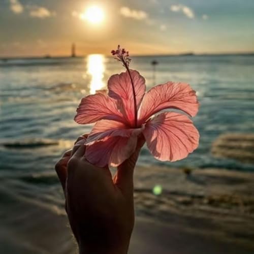 Garten Hibiskus, Hibiscus Syriacus Heckenpflanzen BlüHend, Bienenfreundlich, Winterhart, Ideal FüR Hecken-3 zwiebeln-A von JKFBNGIUJR