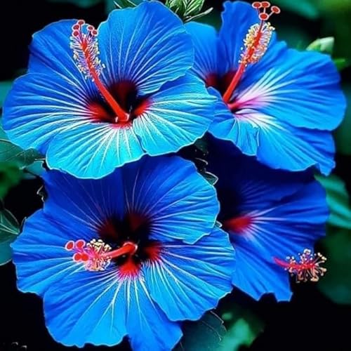 Garten Hibiskus, Hibiscus Syriacus Heckenpflanzen BlüHend, Bienenfreundlich, Winterhart, Ideal FüR Hecken-3 zwiebeln-I von JKFBNGIUJR