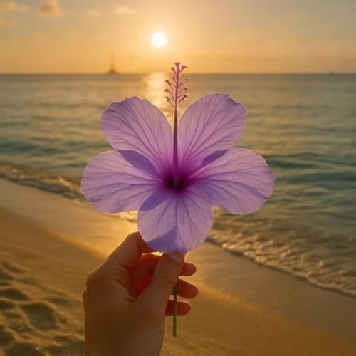 Garten Hibiskus, Hibiscus Syriacus Heckenpflanzen BlüHend, Bienenfreundlich, Winterhart, Ideal FüR Hecken-5 zwiebeln-F Garten Hibiskus, Hibiscus Syriacus Heckenpflanzen BlüHend, Bienenfreundlich, Winterhart, Ideal FüR Hecken-5 zwiebeln-F von JKFBNGIUJR