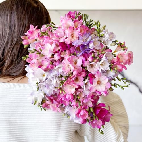 Sommer-Freesienzwiebeln – Langlebige BlüTen – Duftend – Winterharte MehrjäHrige Pflanzen – FüR TöPfe, Balkon Und Garten-9 zwiebeln-C von JKFBNGIUJR