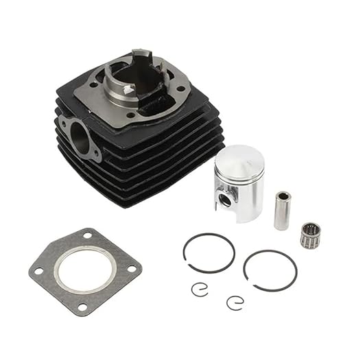 JKGVNCT Kompatibel mit 50CC Mini Moto Pit Dirt Bike Motocross 39mm 12mm Zylinder Kolbenring Lager Dichtungssatz von JKGVNCT