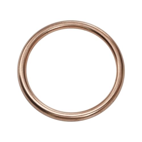 Teile ersetzen Für CB300R 2019-2020 CBR250R 2011-2013 CRF250L 17-20 CRF250L 2014-2020 Motorrad Motor Zylinder Dichtung(Exhuast pipe gasket) von JKGVNCT