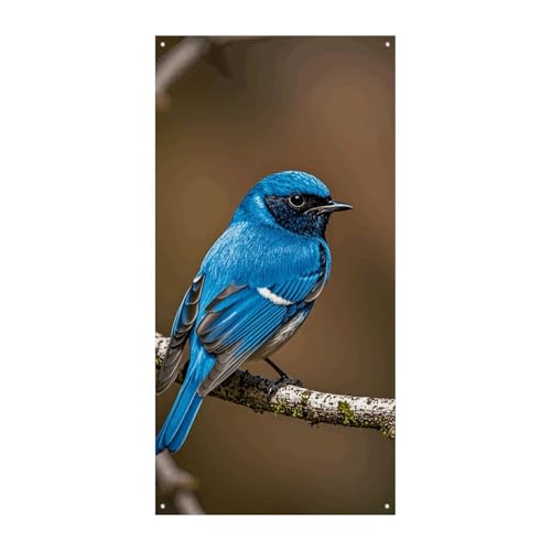 Blauer Vogel Türabdeckung Banner Willkommen Eingang Schild Party Banner Urlaub Party Dekorationen Geburtstag Banner für festliche Feiern 70 x 35,4 Zoll Blauer Vogel Türabdeckung Banner Willkommen Eingang Schild Party Banner Urlaub Party Dekorationen Geburtstag Banner für festliche Feiern 70 x 35,4 Zoll von JKLQWH