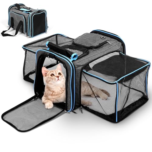 Erweiterbar Katzenrucksack - Hunderucksack bis 15kg, Faltbare Katzen Rucksack für Katzen Hunde mit Innerer Sicherheitsleine und Haustiermatte Katzen Transport Tasche max Erweiterbar Katzenrucksack - Hunderucksack bis 15kg, Faltbare Katzen Rucksack für Katzen Hunde mit Innerer Sicherheitsleine und Haustiermatte Katzen Transport Tasche max von JKOKPMG
