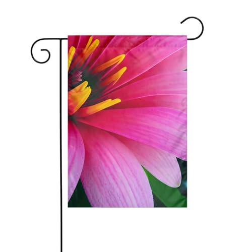 Hawaii-Blumen-Gartenflagge, doppelseitig, 30,5 x 45,7 cm, Flaggen für Outdoor-Urlaubsdekorationen, langlebige Hofflagge Hawaii-Blumen-Gartenflagge, doppelseitig, 30,5 x 45,7 cm, Flaggen für Outdoor-Urlaubsdekorationen, langlebige Hofflagge von JKXUN