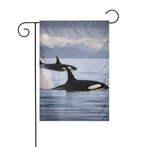 Killerwale schwimmen entlang Gartenflagge, doppelseitig, 30,5 x 45,7 cm, Flaggen für Outdoor-Urlaubsdekorationen, langlebige Hofflagge Killerwale schwimmen entlang Gartenflagge, doppelseitig, 30,5 x 45,7 cm, Flaggen für Outdoor-Urlaubsdekorationen, langlebige Hofflagge von JKXUN