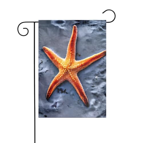 Strand-Seestern-Gartenflagge, doppelseitig, 30,5 x 45,7 cm, Flaggen für Outdoor-Urlaubsdekorationen, langlebige Hofflagge Strand-Seestern-Gartenflagge, doppelseitig, 30,5 x 45,7 cm, Flaggen für Outdoor-Urlaubsdekorationen, langlebige Hofflagge von JKXUN