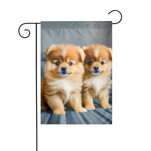 Zwergspitz-Gartenflagge Welpen und Punkt, doppelseitig, 30,5 x 45,7 cm, Flaggen für Outdoor-Urlaubsdekorationen, langlebige Hofflagge Zwergspitz-Gartenflagge Welpen und Punkt, doppelseitig, 30,5 x 45,7 cm, Flaggen für Outdoor-Urlaubsdekorationen, langlebige Hofflagge von JKXUN