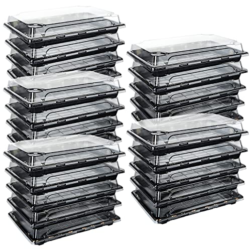 JMIATRY 25 Stück Kunststoff-Buffetabletts mit transparentem Deckel, 261 mmx190 mm, Süßigkeiten- und Sandwich-Plattentabletts, Lebensmittelbehälter für Partys, Lebensmittel und Buffets von JMIATRY