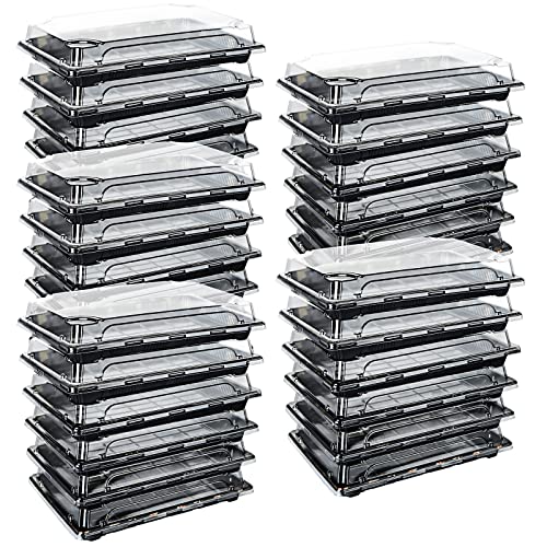 JMIATRY 30 Stück wiederverwendbare kleine Kunststoff-Buffets, Catering-Tabletts mit Deckel, 247x156 mm, Süßigkeiten- und Sandwich-Teller, Lebensmittelbehälter für Party, Essen und Buffets von JMIATRY
