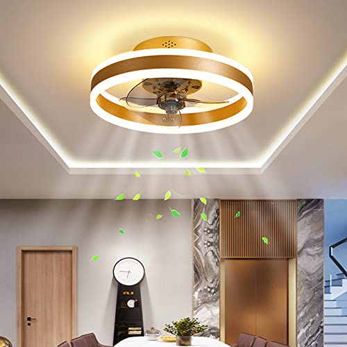 JMrider Deckenventilator Mit Beleuchtung LED Deckenleuchte Timing Ventilator Modern Leise Fan Deckenlampe Wohnzimmer Schlafzimmer Kinderzimmer Esszimmer 48W Beleuchtung,Gold… von JMrider