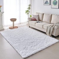 Jn.songs - Wohnzimmer Hochflor Teppich, Plüsch Shaggy Teppiche für Schlafzimmer, Wohnzimmer, Flur Weiß - 80x60cm von JN.SONGS