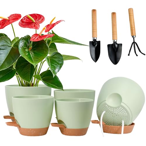 JNEYVIC 8 Stück Blumentopf mit Bewässerungssystem Grün Pflanztopf Selbstbewässerung Klein Übertopf mit Untersetzer 17.7/16.5/15/14/12.7cm Selbstbewässerungstopf für Innen Balkon Garten Pflanzen JNEYVIC 8 Stück Blumentopf mit Bewässerungssystem Grün Pflanztopf Selbstbewässerung Klein Übertopf mit Untersetzer 17.7/16.5/15/14/12.7cm Selbstbewässerungstopf für Innen Balkon Garten Pflanzen von JNEYVIC