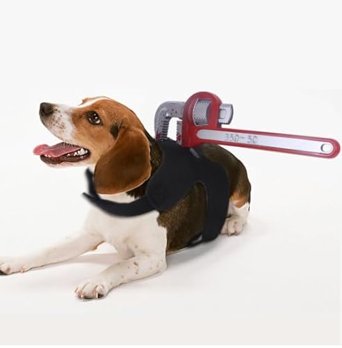 Lustiges Hunde-Halloween-Kostüm mit realistischem Messer und Hammer – Blutfleckiges Cosplay-Outfit, gruseliges Haustier-Outfit für Katzen und Hunde, verstellbar, gruseliger Haustieranzug für Partys Lustiges Hunde-Halloween-Kostüm mit realistischem Messer und Hammer – Blutfleckiges Cosplay-Outfit, gruseliges Haustier-Outfit für Katzen und Hunde, verstellbar, gruseliger Haustieranzug für Partys von JNGUOSICN