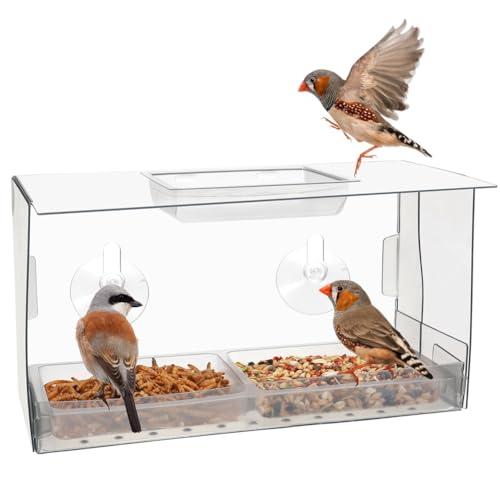 JNJOOD Fenster Vogelfutterspender Vögel füttern ungestört während Sie zuschauen Innovative Fenster Vogelfutterspender mit starken Saugnäpfen von JNJOOD