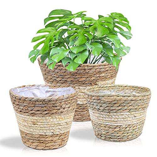 JNRFTY 3er Set Pflanzkorb Blumenkorb Geflochten,altbarer Seegras-Korb,Handgewebter Übertöpfe Blumentopf Pflanzkorb Beige von JNRFTY