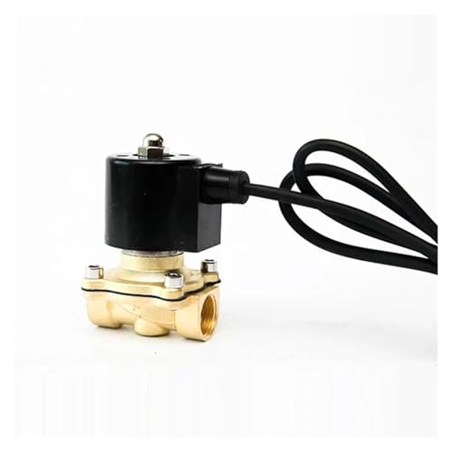 1/2" IP68 wasserdichtes, normalerweise geschlossenes Messing-Brunnen-Magnetventil 110 V 24 V 12 V 24 V Unterwasser-Magnetventil(110VAC) von JNVFTCUX