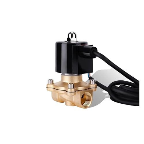 1/2 "normalerweise geschlossenes Messing-Brunnen-Magnetventil 110 V 24 V 12 V 24 V Unterwasser-Magnetventil NBR(NPT-12VDC-NBR-SEAL) von JNVFTCUX