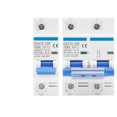 JNVFTCUX Leistungsschalter DC 1000 V/500 V 125 A MCB Solarenergie PV-Leistungsschalter 1P 2P 4 Pole 80 Ampere 100 A Strom Hauptschalterschutz DZ47Z-125 1 Stück(2P,100A) von JNVFTCUX