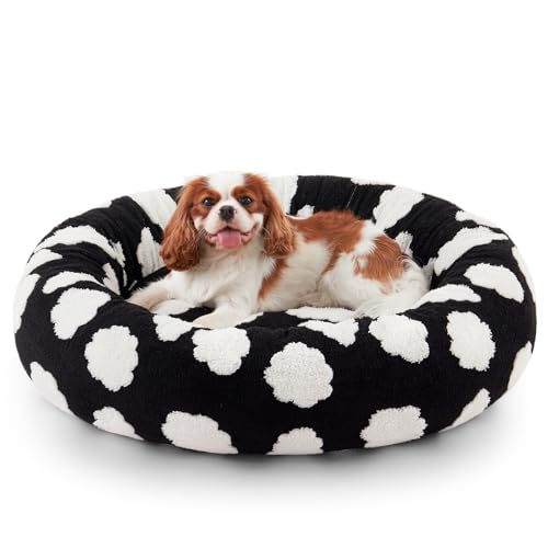 JOEJOY Donut-Katzenbett für Hauskatzen, rundes beruhigendes kleines Hundebett mit abnehmbarem, waschbarem Bezug, 50,8 cm, orthopädisches, niedliches Welpen-Kätzchen-Haustierbett mit Jacquard-Plüsch JOEJOY Donut-Katzenbett für Hauskatzen, rundes beruhigendes kleines Hundebett mit abnehmbarem, waschbarem Bezug, 50,8 cm, orthopädisches, niedliches Welpen-Kätzchen-Haustierbett mit Jacquard-Plüsch von JOEJOY